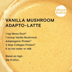 Vanilla Mushroom Adaptogenic Protein